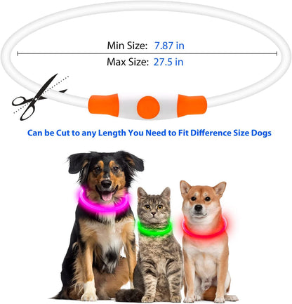 LED Dog Collar, USB Rechargeable Glow Lighted up Collar, Orange