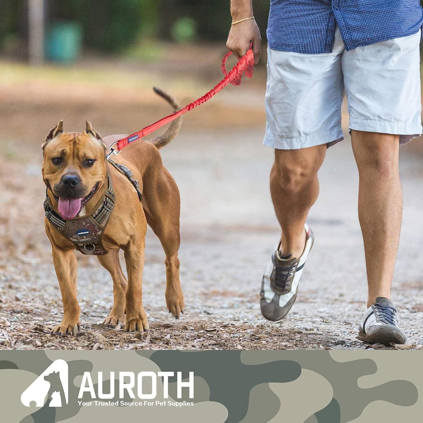 Bungee Dog Leash for Large Dogs, No Pull for Shock Absorption