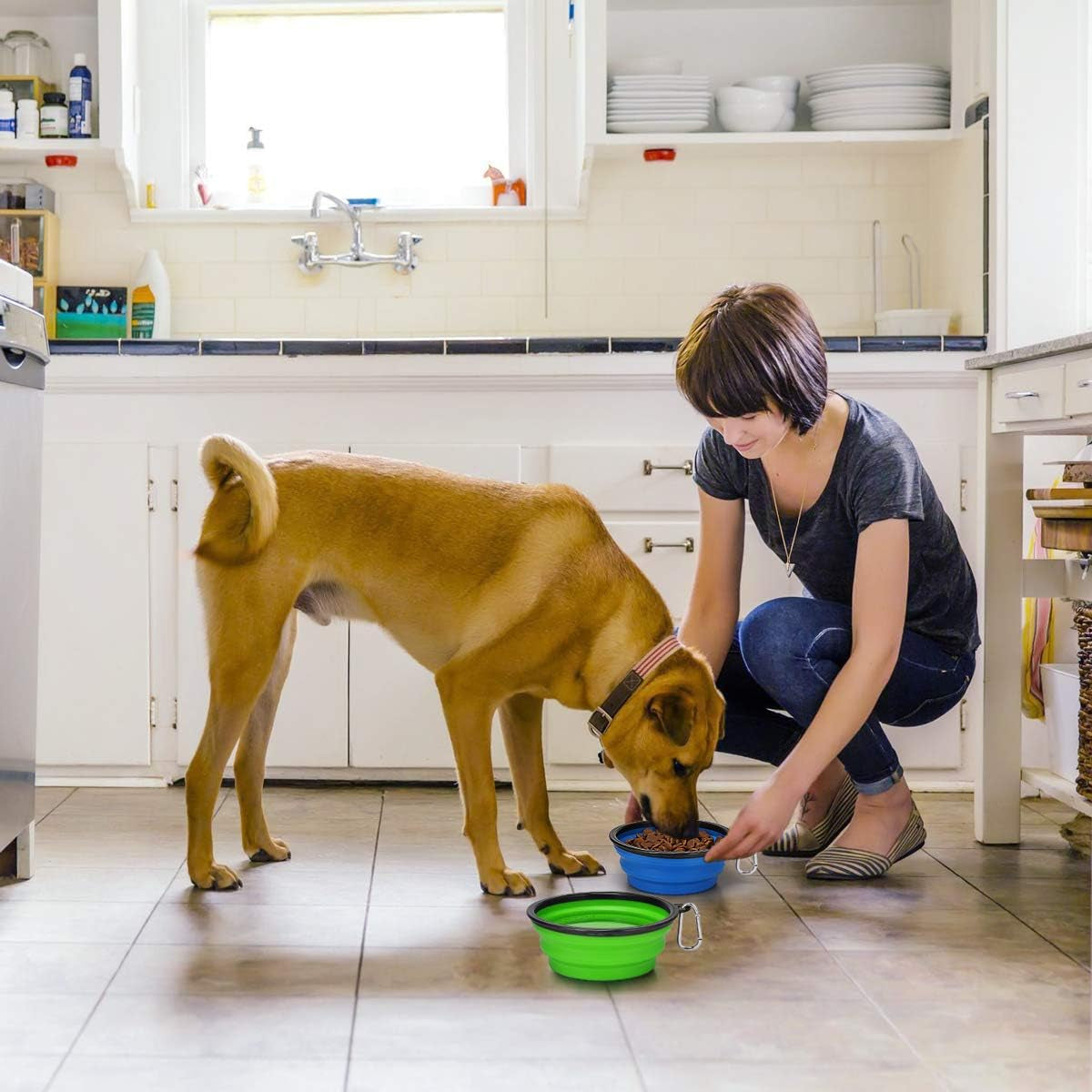 Large Collapsible Dog Bowls 2 Pack, 34Oz Foldable Dog Travel Bowl