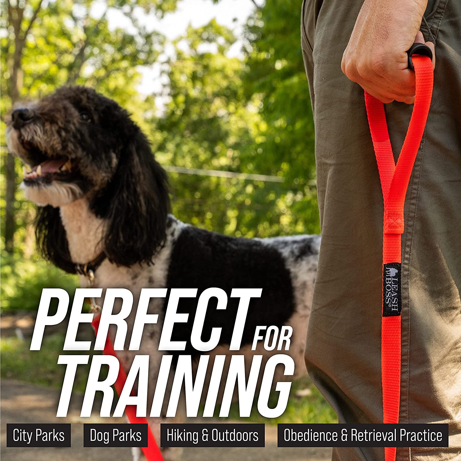 Long Trainer - 1 Inch Nylon Long Dog Training Leash with Storage Strap (50 Ft, Orange)