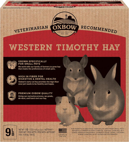 Western Timothy Hay, Guinea Pig Hay, Small Pet Bunny Supplies, All Natural Grass for Guinea Pig, Bunny, Chinchilla & Hamster, Rabbit Supplies for Bunnies, 9 Lb Box