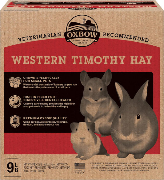 Western Timothy Hay, Guinea Pig Hay, Small Pet Bunny Supplies, All Natural Grass for Guinea Pig, Bunny, Chinchilla & Hamster, Rabbit Supplies for Bunnies, 9 Lb Box