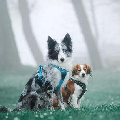 Adjustable No-Pull Dog Harness Reflective Vest, Blue, XS