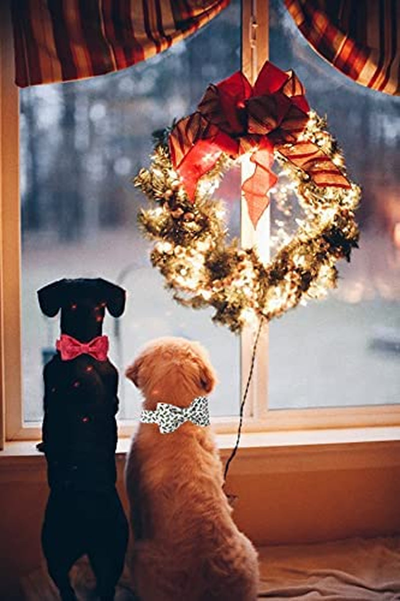 Christmas Dog Collar, Medium Pet Collar with Bowtie