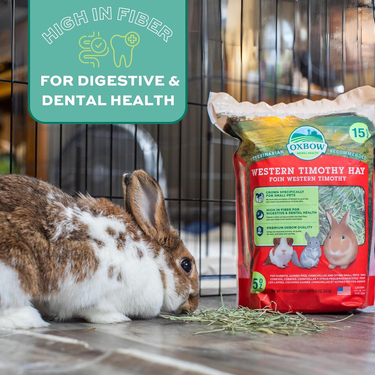 Western Timothy Hay, Guinea Pig Hay, Small Pet Bunny Supplies, All Natural Grass for Guinea Pig, Bunny, Chinchilla & Hamster, Rabbit Supplies for Bunnies, 9 Lb Box