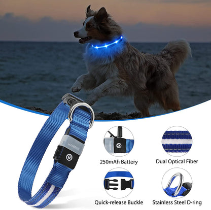 Led Dog Collar - Rechargeable, Water-Resistant, Flashing, Glowing Night Walking Collar