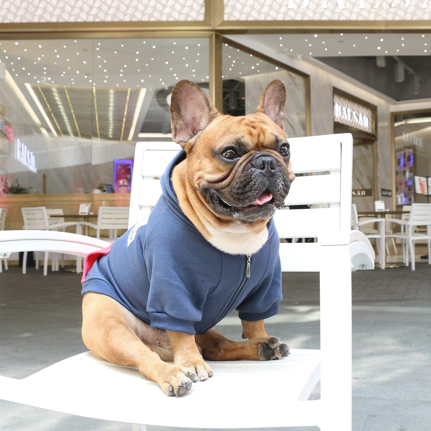 French Bulldog Pug Zipper Pocket Hoodies Clothes Navy Blue - Medium