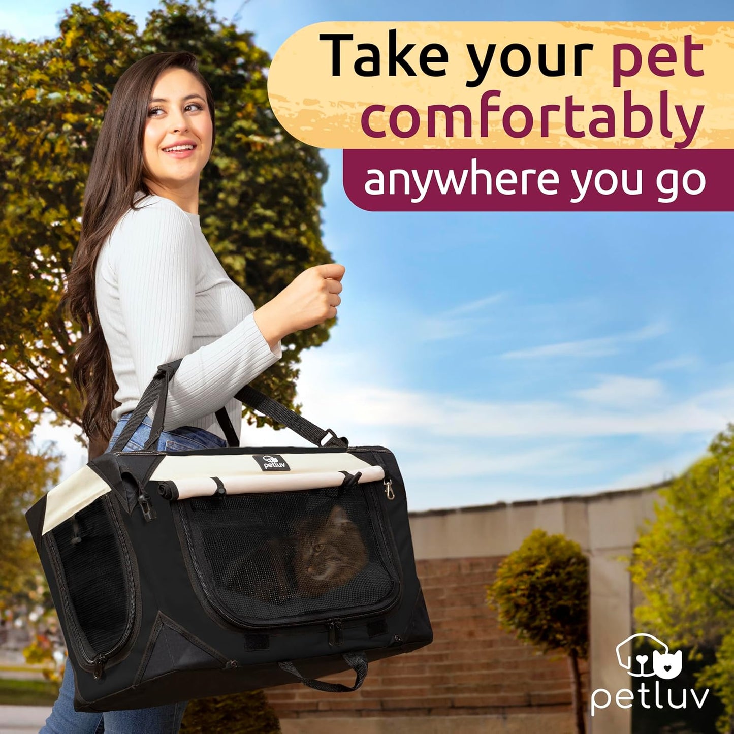 Cat & Dog Carrier, Fits Most Cats or Small Dog Comfortably, Medium, Black