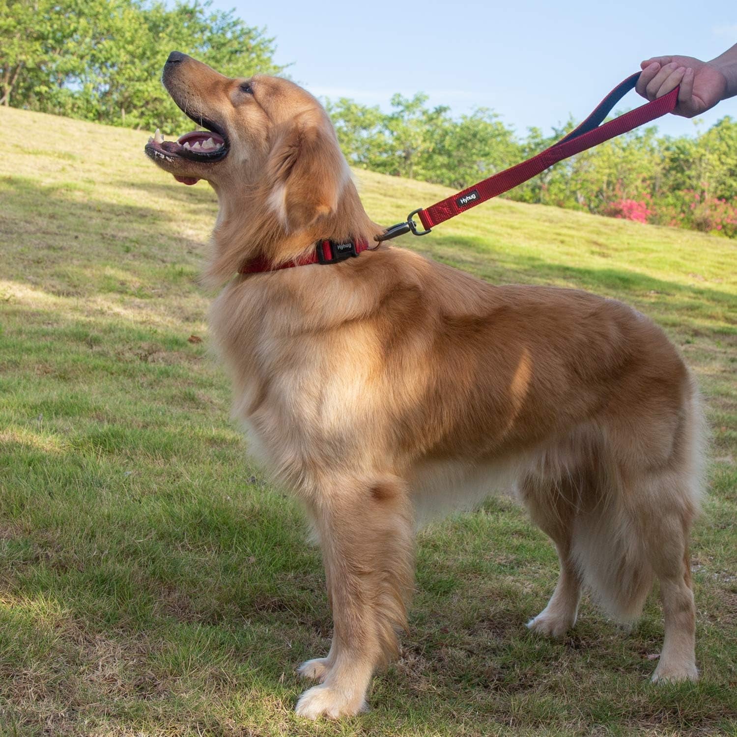 Short Dog Leash 18", Heavy Duty Nylon with Padded Handle