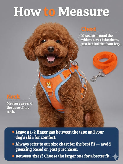 Adjustable 2-Pack Pet Harness and Leash Set, Soft Suede Vest, Durable Reflective Design, Tangle-Free Leash for Effortless Walking, Perfect for Daily Use and Nighttime Activities