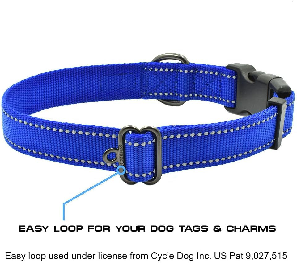NEO Nylon Buckle Reflective Dog Collar - Medium, Pink