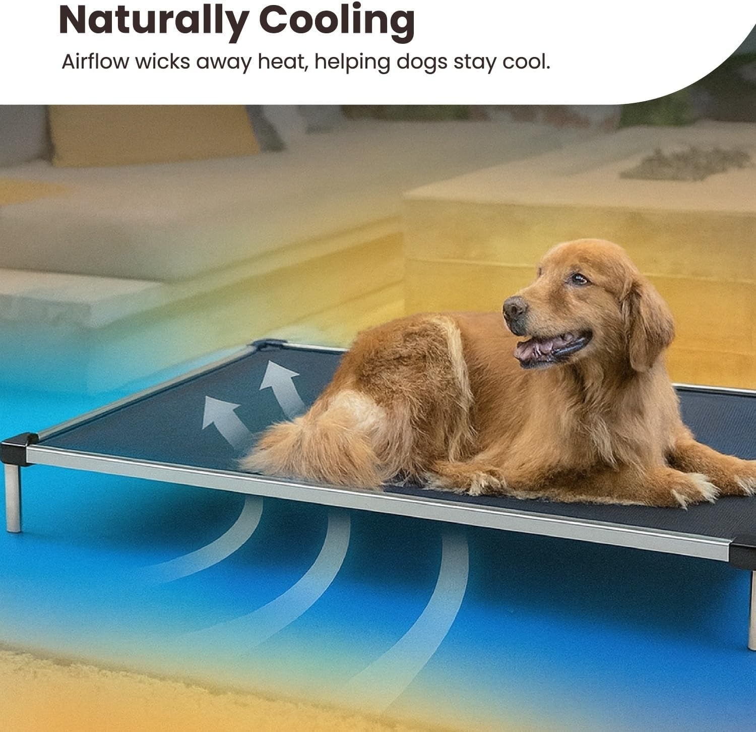 Chew Proof Elevated Cot Bed, L, Black Mesh