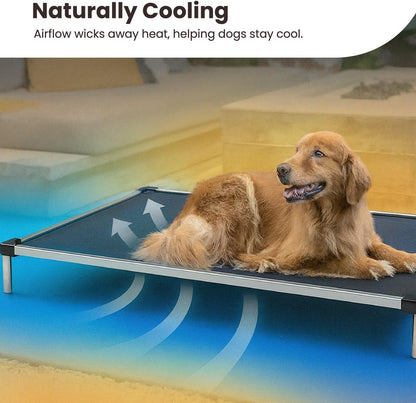 Chew Proof Elevated Cot Bed, L, Black Mesh