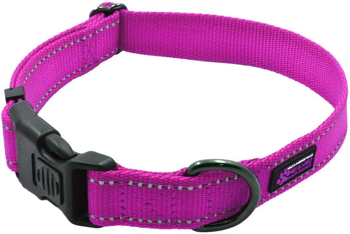 NEO Nylon Buckle Reflective Dog Collar - Medium, Pink