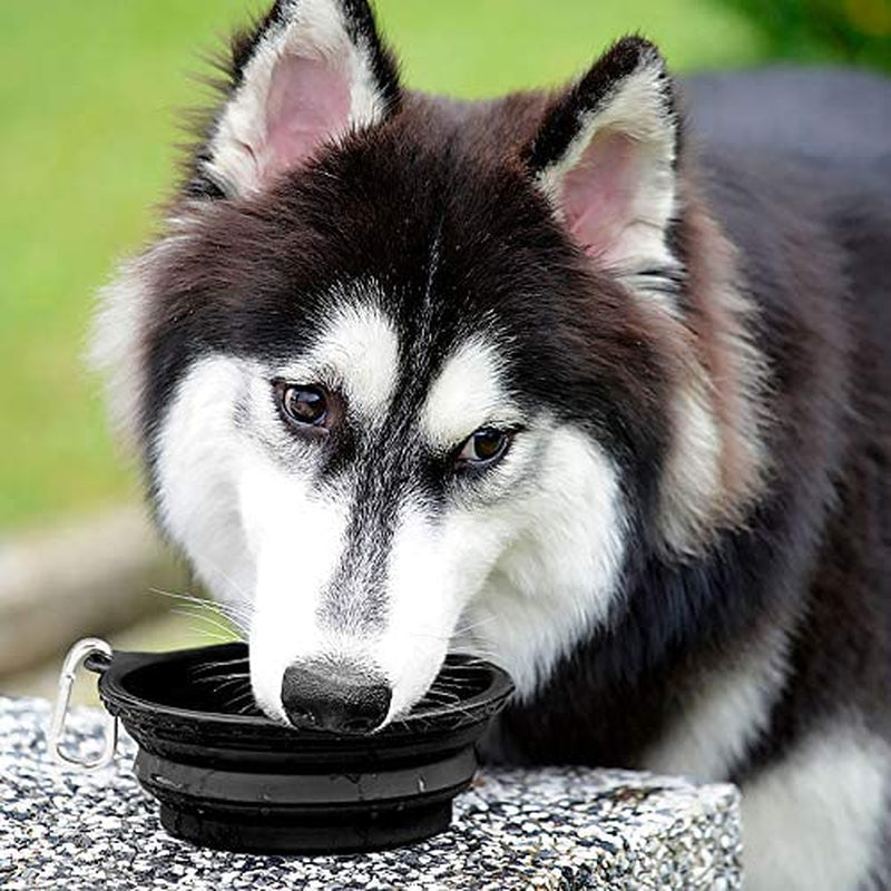 Large Collapsible Dog Bowls 2 Pack, 34Oz Foldable Dog Travel Bowl