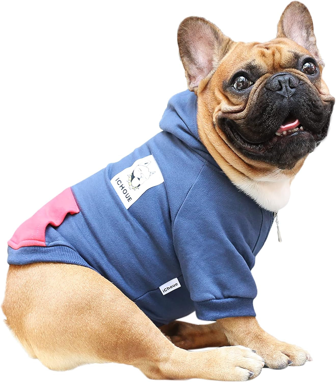 French Bulldog Pug Zipper Pocket Hoodies Clothes Navy Blue - Medium