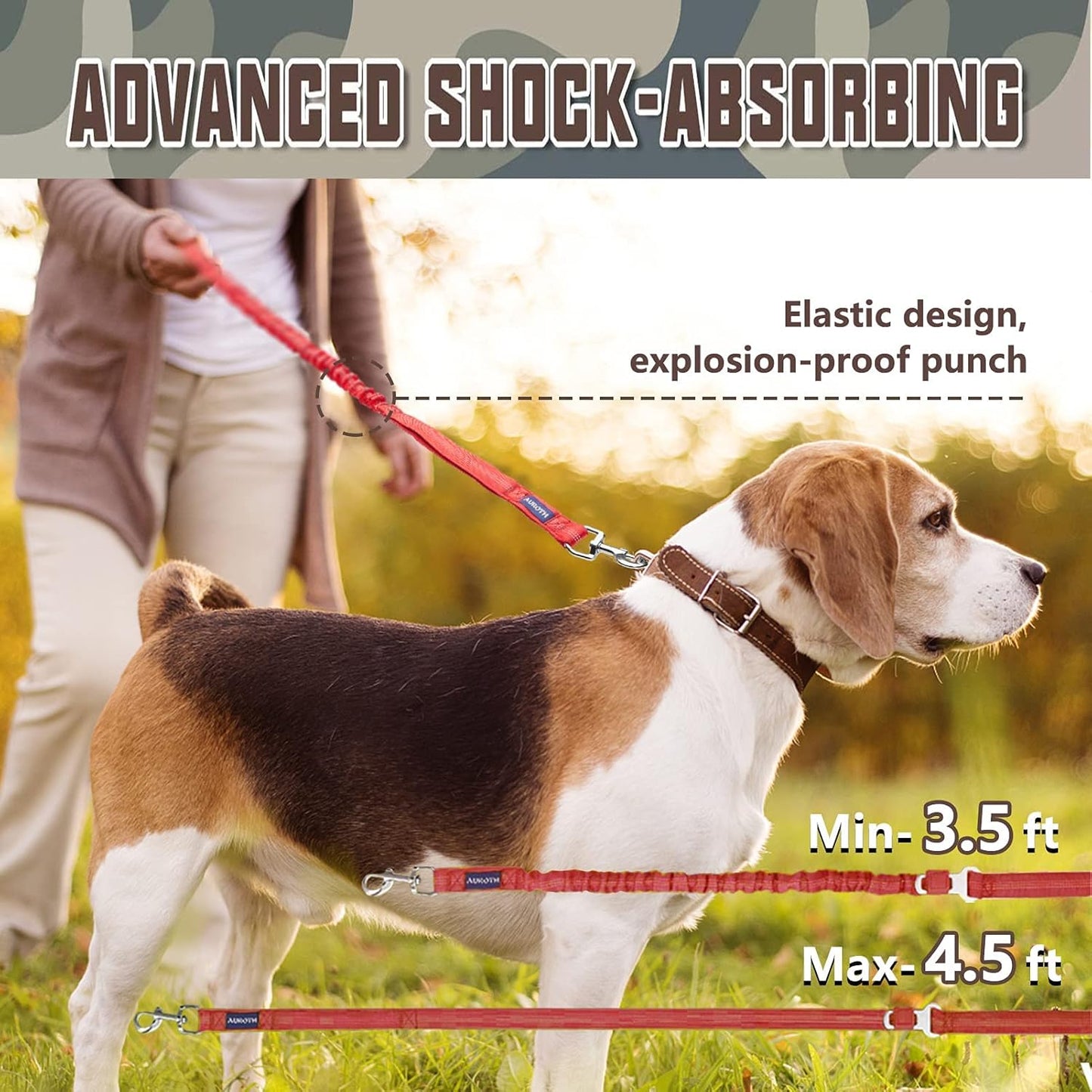 Bungee Dog Leash for Large Dogs, No Pull for Shock Absorption
