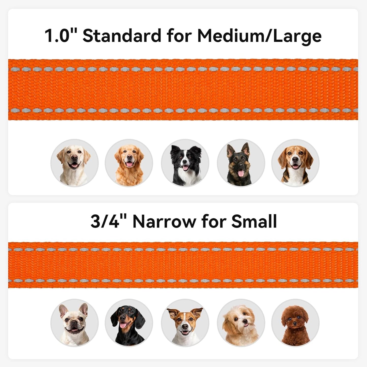 Reflective Dog Leash for Medium & Large Dogs, 5 FT X 1", Orange