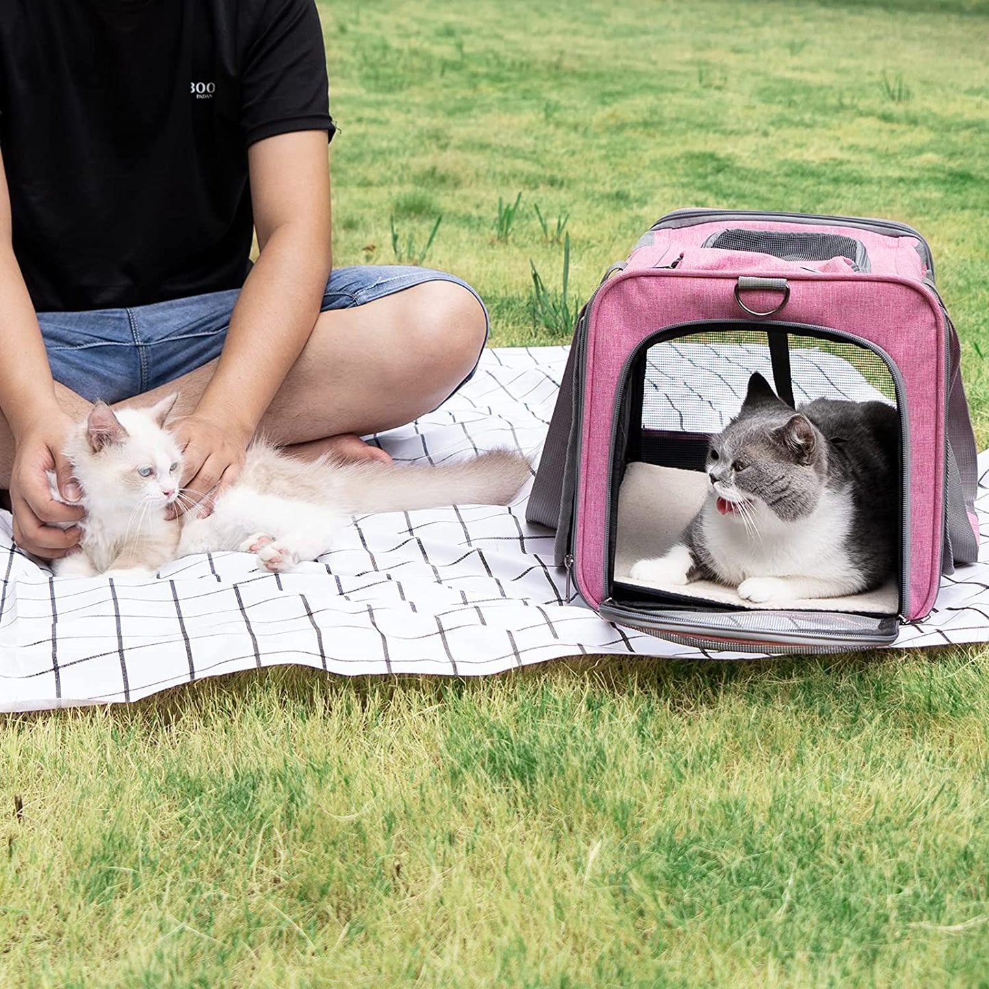 Pet Carrier for Large and Medium Cat, Soft-Sided Pet Crate for Puppy