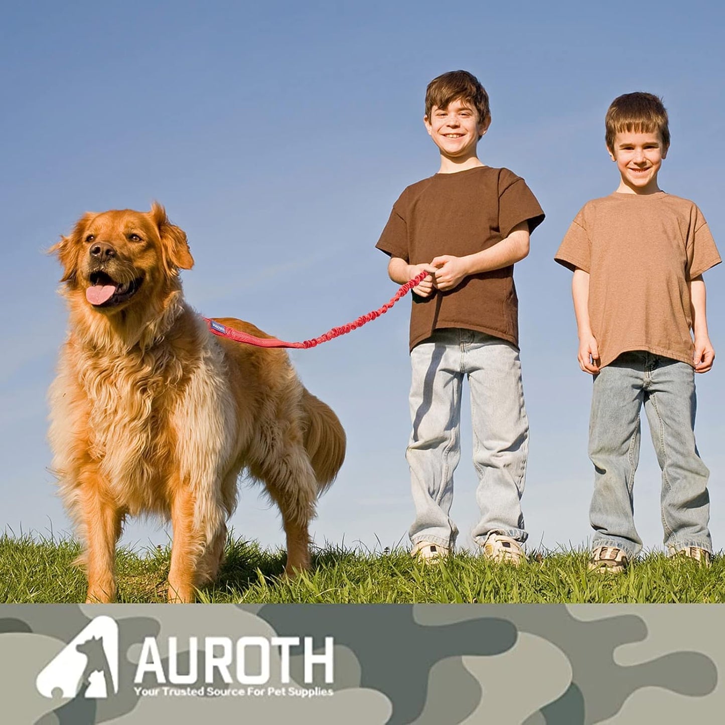 Bungee Dog Leash for Large Dogs, No Pull for Shock Absorption