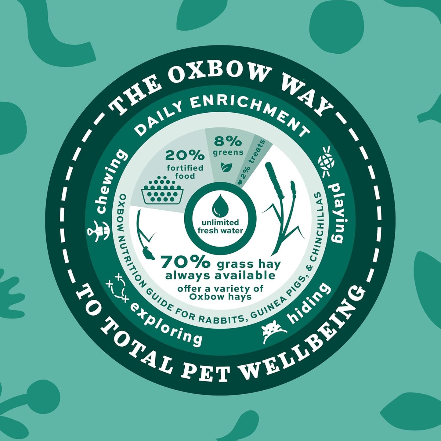 Western Timothy Hay, Guinea Pig Hay, Small Pet Bunny Supplies, All Natural Grass for Guinea Pig, Bunny, Chinchilla & Hamster, Rabbit Supplies for Bunnies, 9 Lb Box