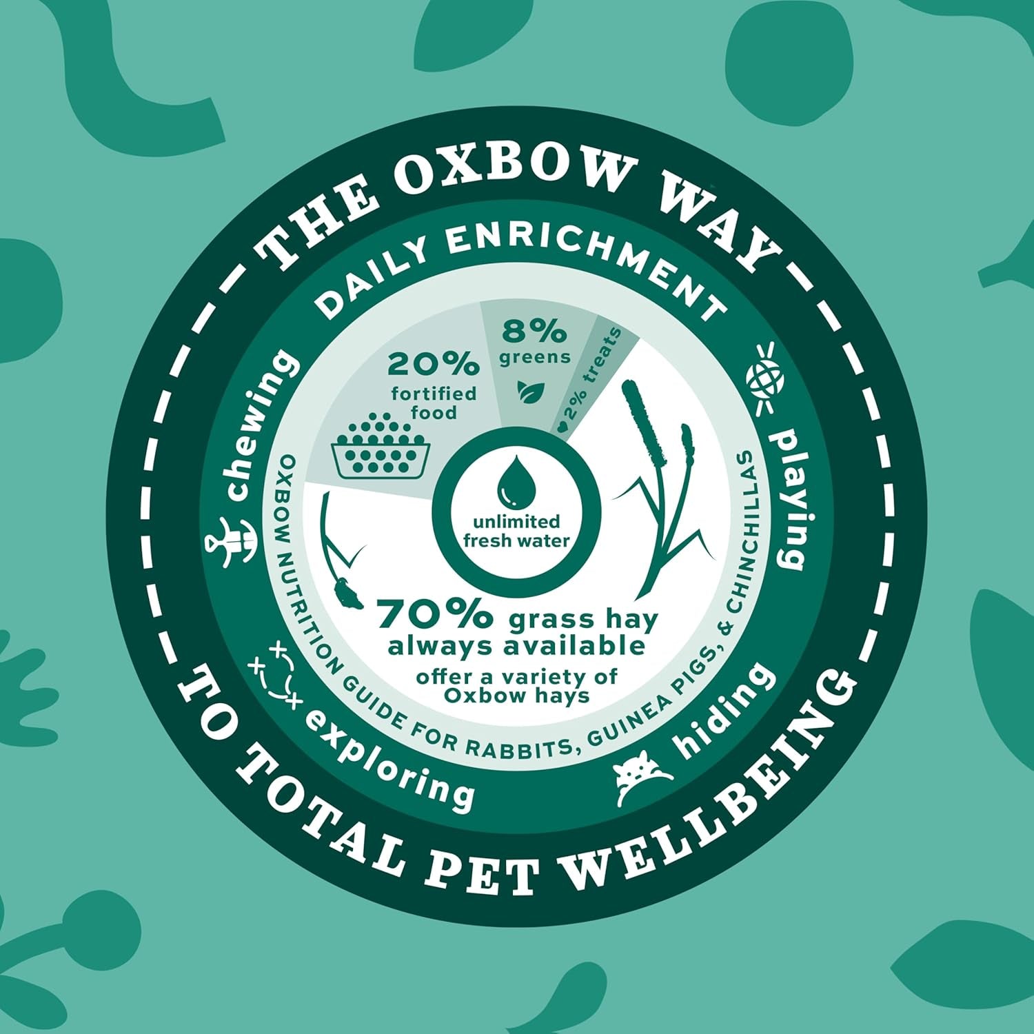 Western Timothy Hay, Guinea Pig Hay, Small Pet Bunny Supplies, All Natural Grass for Guinea Pig, Bunny, Chinchilla & Hamster, Rabbit Supplies for Bunnies, 9 Lb Box