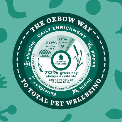Western Timothy Hay, Guinea Pig Hay, Small Pet Bunny Supplies, All Natural Grass for Guinea Pig, Bunny, Chinchilla & Hamster, Rabbit Supplies for Bunnies, 9 Lb Box