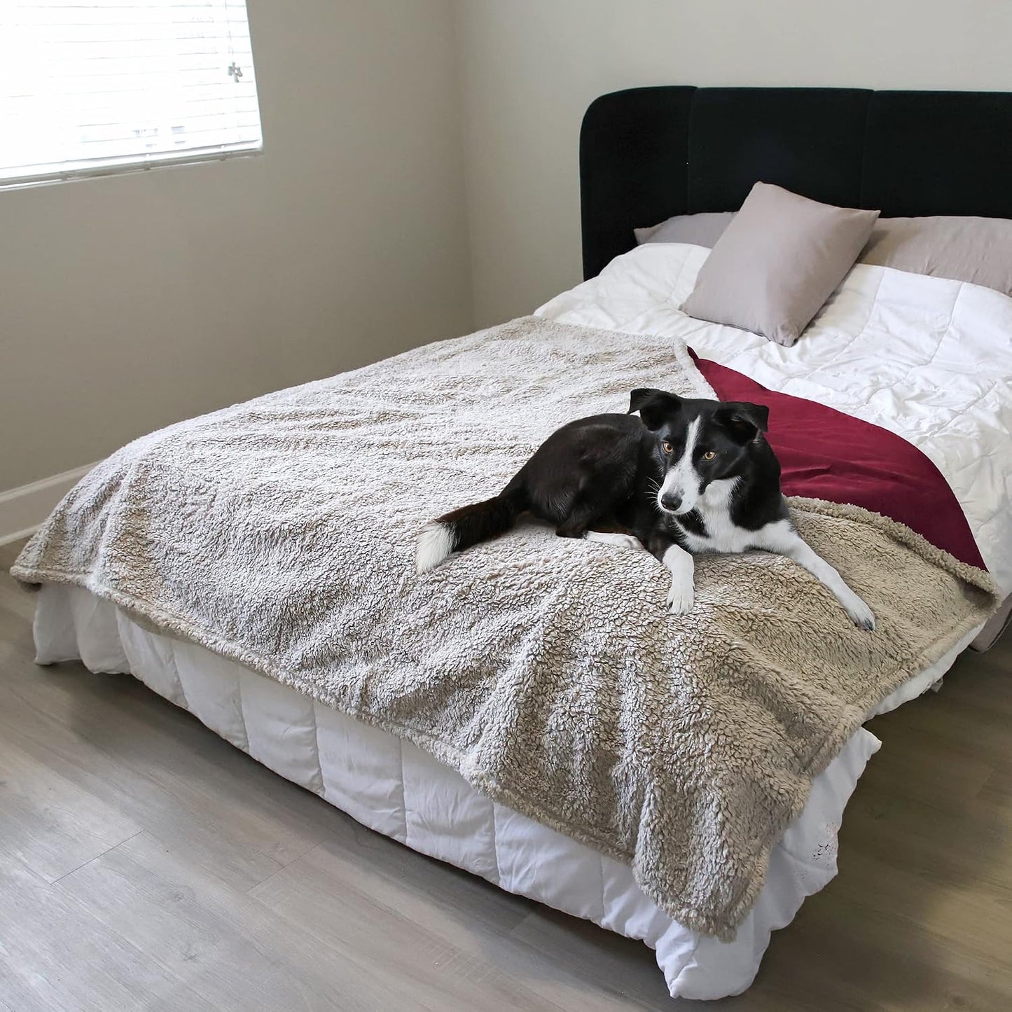 Waterproof Reversible Pet Blanket for Dogs and Cats