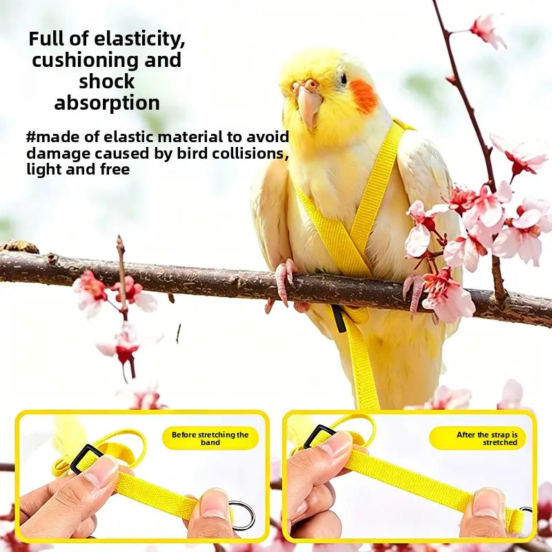 Parrot Harness & Leash Set with Adjustable Vest, Anti-Escape Ultra-Lightweight Bird Training Accessory with Elastic Cords for Cockatiels, Conures (Outdoor Flying Use)