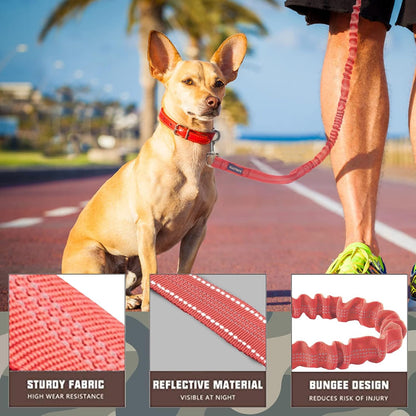 Bungee Dog Leash for Large Dogs, No Pull for Shock Absorption
