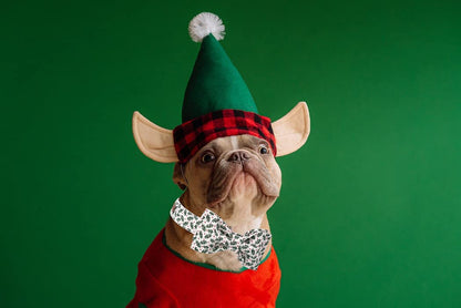 Christmas Dog Collar, Medium Pet Collar with Bowtie