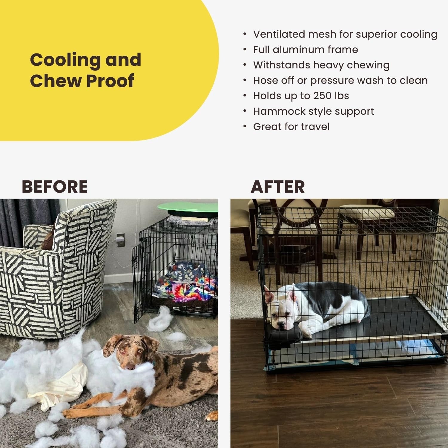 Chew Proof Elevated Cot Bed, L, Black Mesh