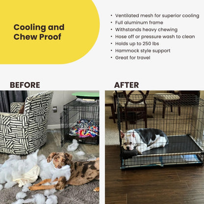 Chew Proof Elevated Cot Bed, L, Black Mesh