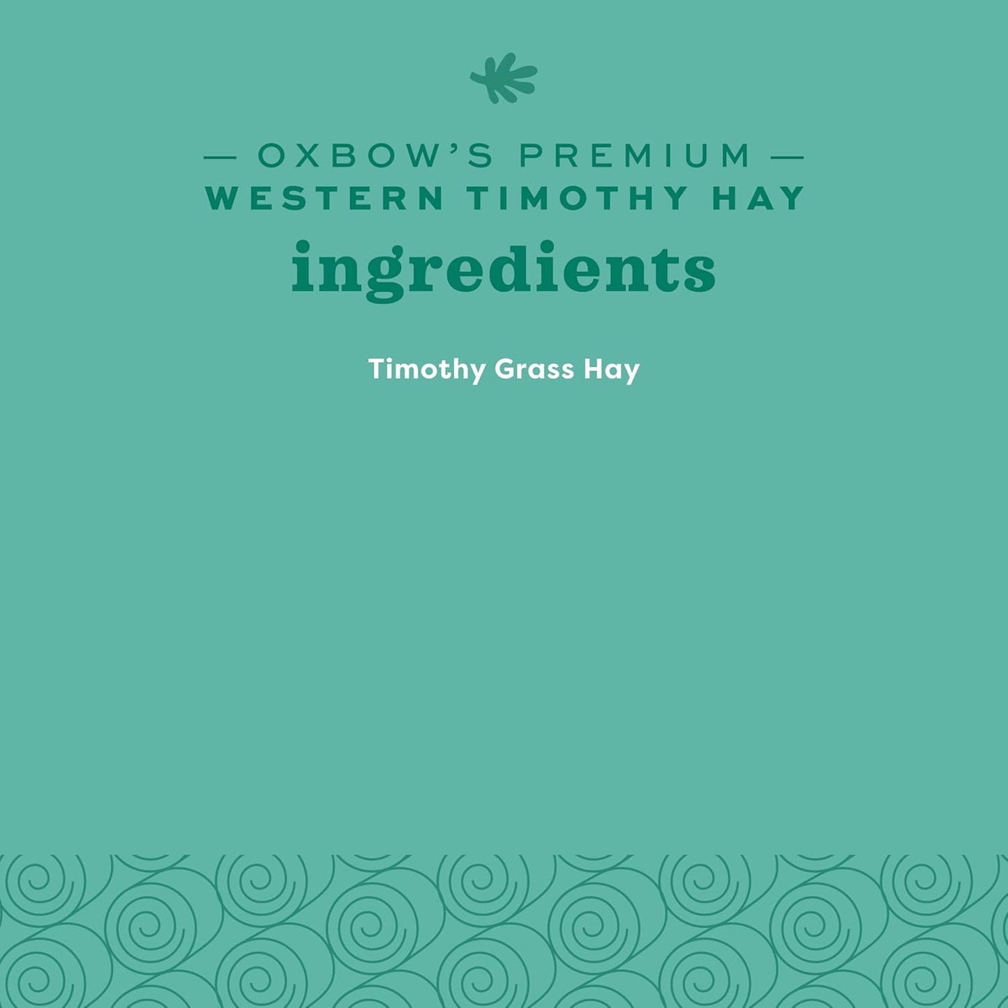 Western Timothy Hay, Guinea Pig Hay, Small Pet Bunny Supplies, All Natural Grass for Guinea Pig, Bunny, Chinchilla & Hamster, Rabbit Supplies for Bunnies, 9 Lb Box