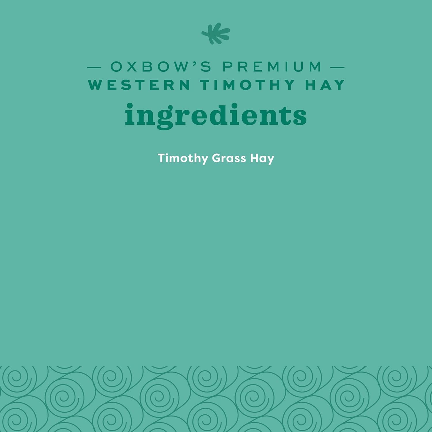 Western Timothy Hay, Guinea Pig Hay, Small Pet Bunny Supplies, All Natural Grass for Guinea Pig, Bunny, Chinchilla & Hamster, Rabbit Supplies for Bunnies, 9 Lb Box