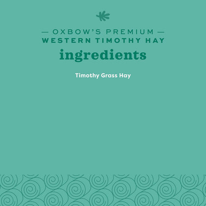 Western Timothy Hay, Guinea Pig Hay, Small Pet Bunny Supplies, All Natural Grass for Guinea Pig, Bunny, Chinchilla & Hamster, Rabbit Supplies for Bunnies, 9 Lb Box
