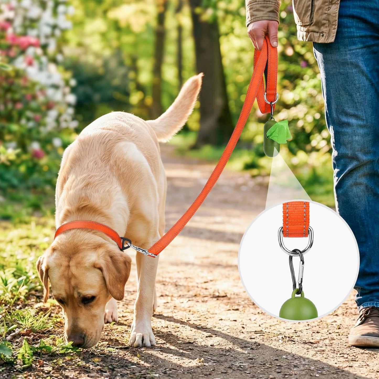Reflective Dog Leash for Medium & Large Dogs, 5 FT X 1", Orange