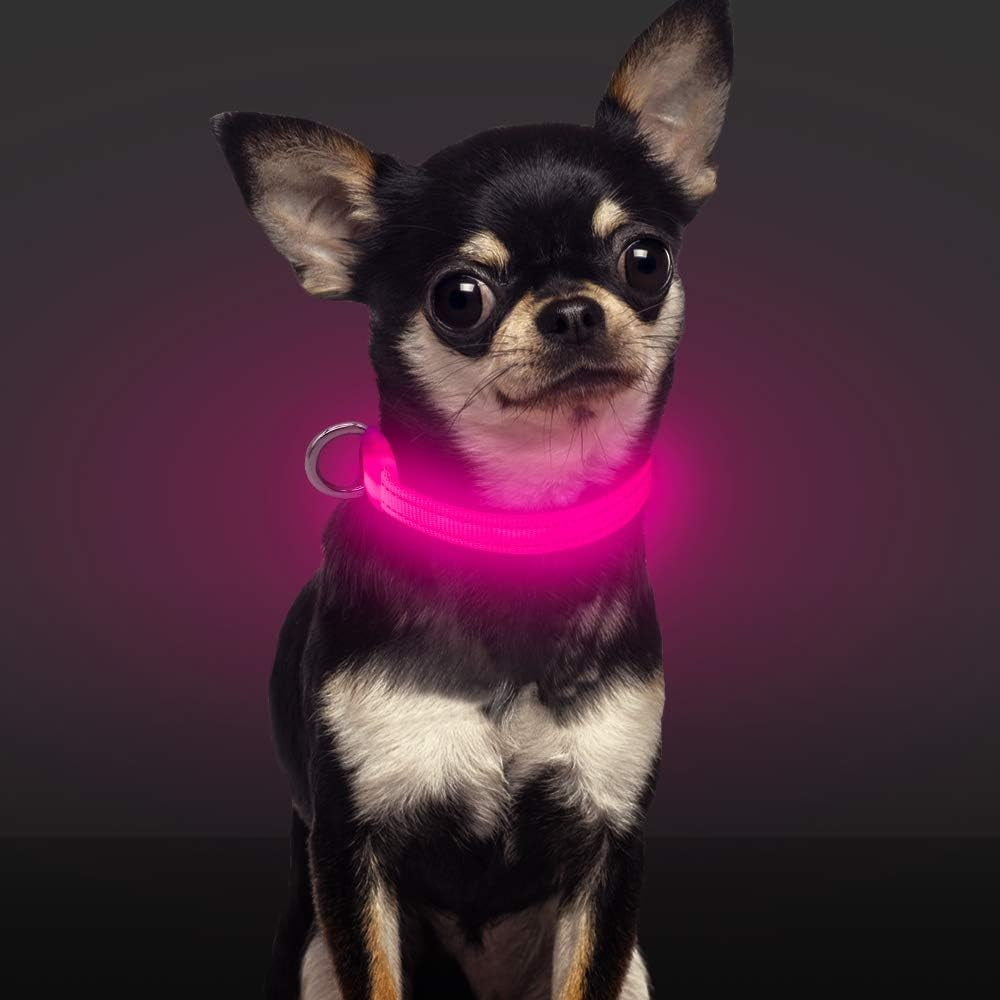 Light up Dog Collar for Small Dogs & Cats (Pink, XS)
