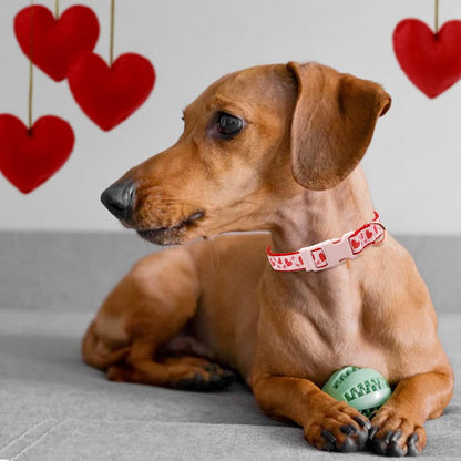 Valentine'S Day Dog Collar and Leash Set, Adjustable Pink Dog Collar with Sparkly Red Hearts Matching Leash Valentines Day Gifts for Large Dogs
