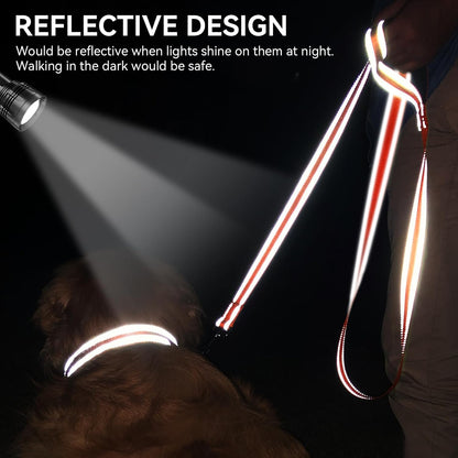 Reflective Dog Leash for Medium & Large Dogs, 5 FT X 1", Orange